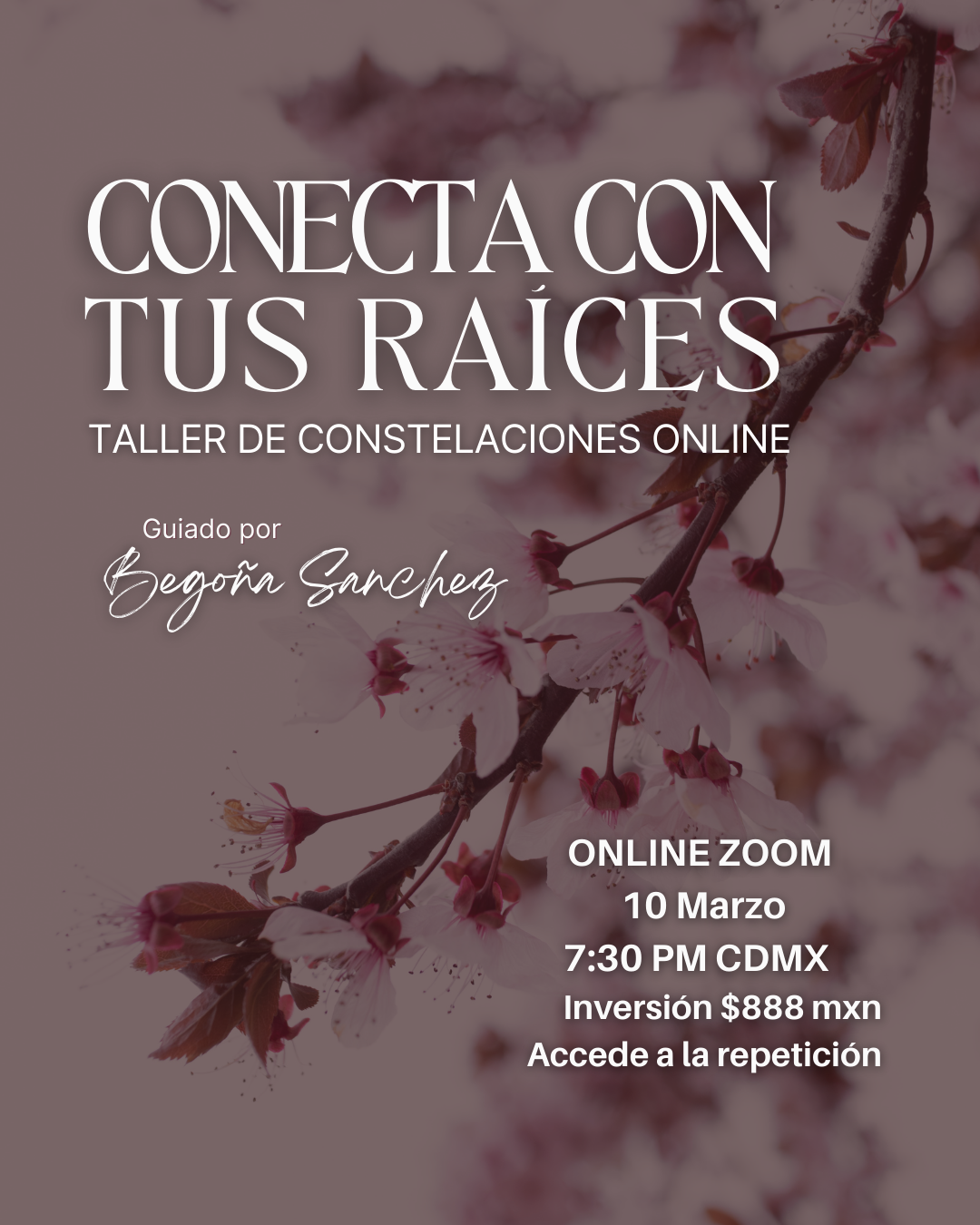 Conecta con tus Raíces - Taller de Constelaciones (Grabación)