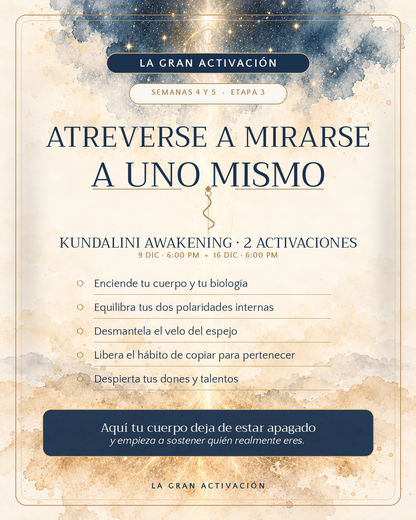 La Gran Activación · Generación Noviembre 2026