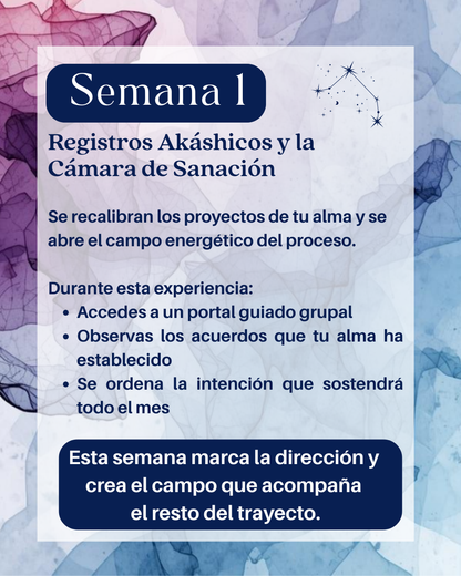 Connect the Dots | Activation 5 Semanas