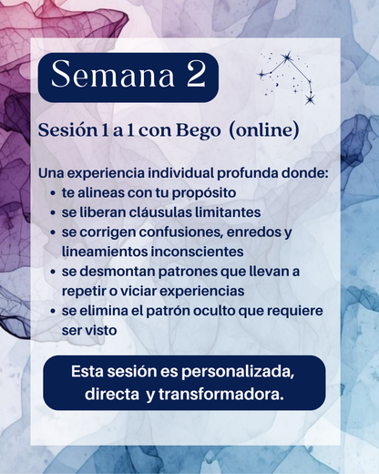 Connect the Dots | Activation 5 Semanas