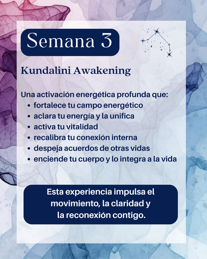 Connect the Dots | Activation 5 Semanas
