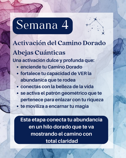 Connect the Dots | Activation 5 Semanas
