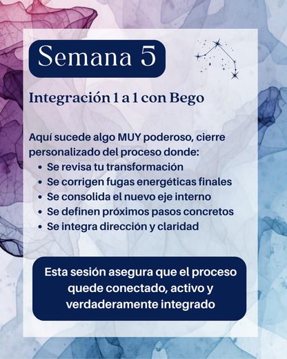 Connect the Dots | Activation 5 Semanas