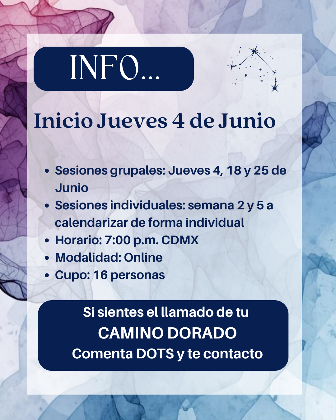 Connect the Dots | Activation 5 Semanas
