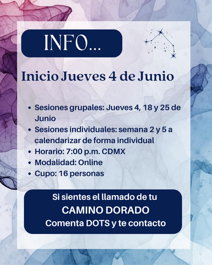 Connect the Dots | Activation 5 Semanas