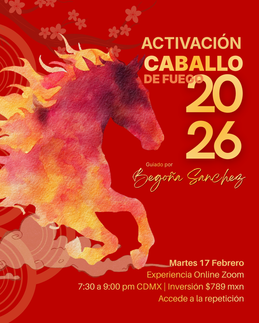Caballo de Fuego - Activación (AUDIO)