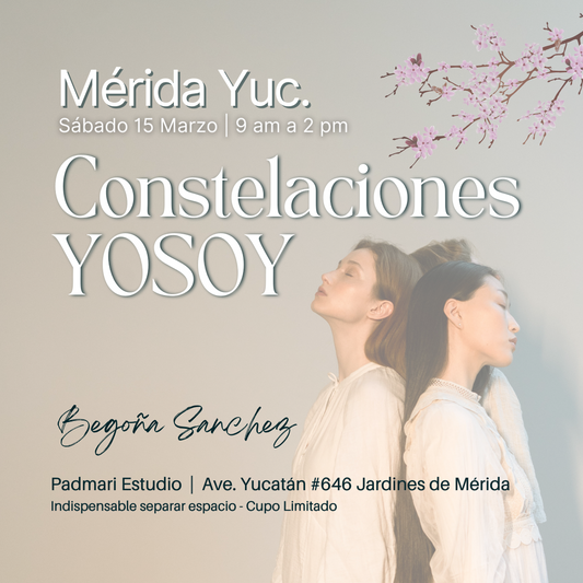Constelaciones YOSOY - MID 15 Marzo