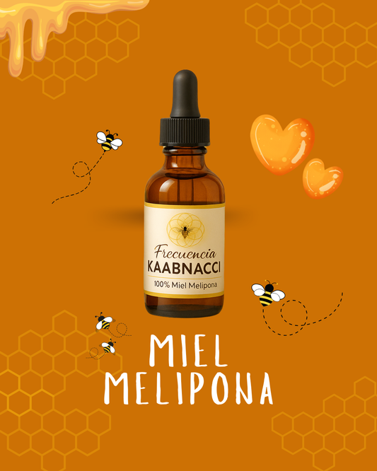 Miel Melipona - Frecuencia Kaabnacci