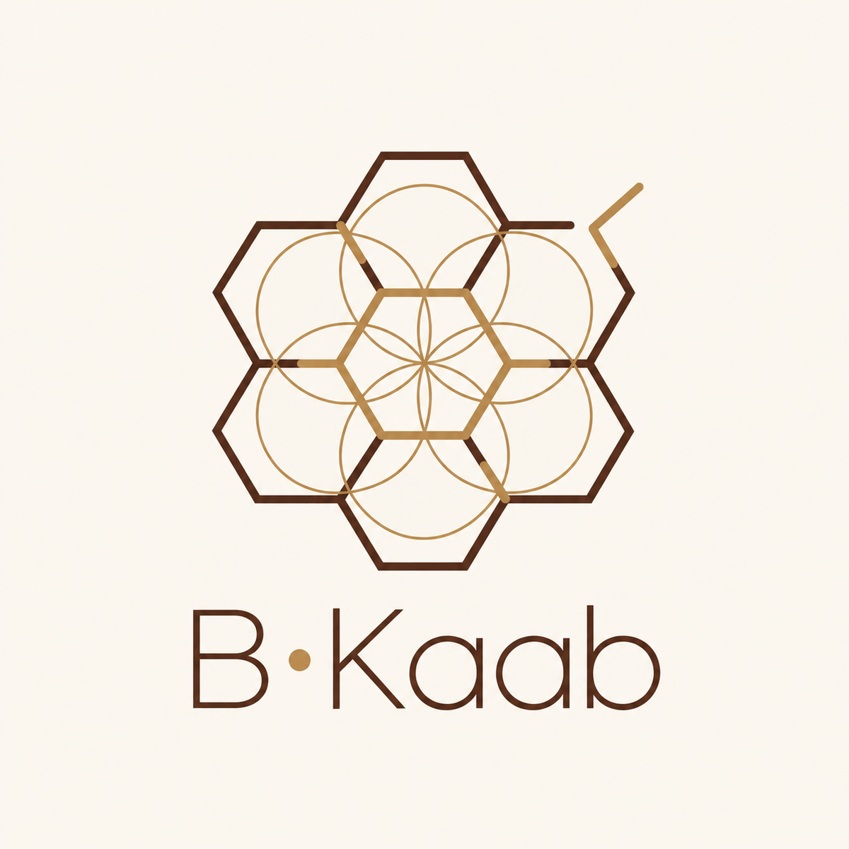 Miel Melipona - B·KAAB