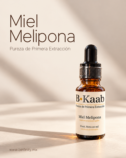 Miel Melipona - B·KAAB