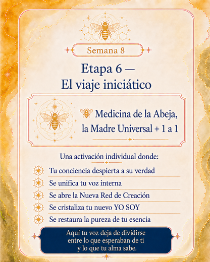La Gran Activación · Generación Agosto 2026